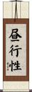 昼行性 Scroll