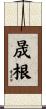 晟根 Scroll