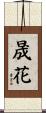 晟花 Scroll