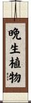 晩生植物 Scroll