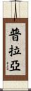 普拉亞 Scroll