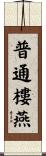 普通樓燕 Scroll