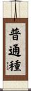 普通種 Scroll