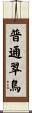 普通翠鳥 Scroll