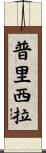 Priscilla Scroll
