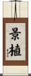 景植 Scroll