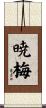 暁梅 Scroll