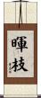 暉枝 Scroll