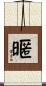 暱 Scroll