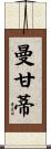 Manganti Scroll
