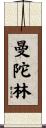 曼陀林 Scroll