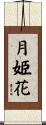 月姫花 Scroll