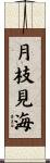 月枝見海 Scroll