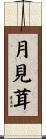 月見茸 Scroll