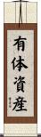 有体資産 Scroll