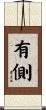 有側 Scroll