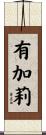 有加莉 Scroll