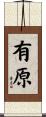 有原 Scroll