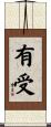 有受 Scroll