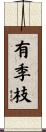 有季枝 Scroll