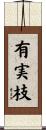 有実枝 Scroll