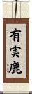 有実鹿 Scroll