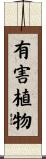 有害植物 Scroll