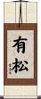 有松 Scroll