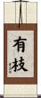 有枝 Scroll