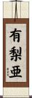 有梨亜 Scroll