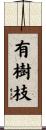 有樹枝 Scroll