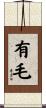 有毛 Scroll