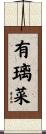 有璃菜 Scroll