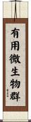 有用微生物群 Scroll