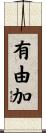有由加 Scroll