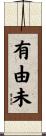 有由未 Scroll