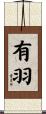 有羽 Scroll
