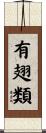 有翅類 Scroll