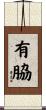 有脇 Scroll