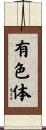有色体 Scroll