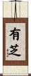 有芝 Scroll