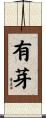 有芽 Scroll