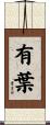 有葉 Scroll