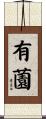 有薗 Scroll