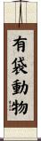 有袋動物 Scroll