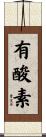 有酸素 Scroll