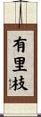 有里枝 Scroll