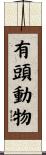 有頭動物 Scroll
