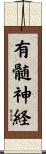有髄神経 Scroll