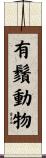 有鬚動物 Scroll